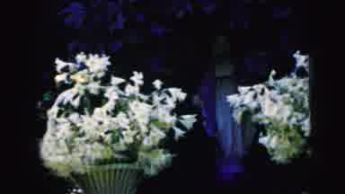 Camden New Jersey USA (1964): Two Beautiful Large Bouquets Of White Flowers With