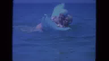 Clearwater Florida (1964): A Couple Swimming In The Middle Of The Ocean Laughing