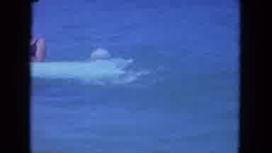 Clearwater Florida (1964): People Playing On Floaties In The Blue Calm Waters Of