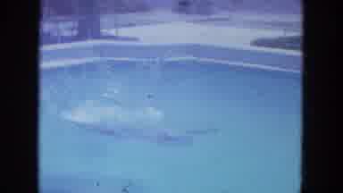 Clearwater Florida (1964): The Lady Was Diving And Swim In The Swimming Pool On