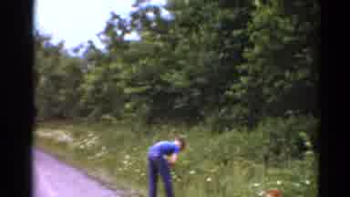 Elkhart Illinois USA (1964): One Boy Grows Flowers On The Side Of The Road Two