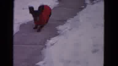 Evanston Illinois (1964): Small Wiener Dog In Red Sweater Snowy Ground Running On