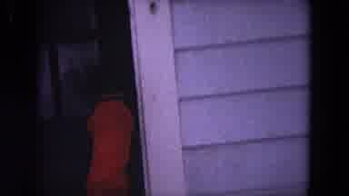 Evanston Illinois (1964): Small Dog Jumping Up And Down On The Front Door Trying
