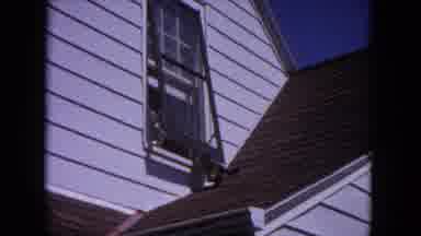 Evanston Illinois (1964): That Leaves The Dog Inside The Window