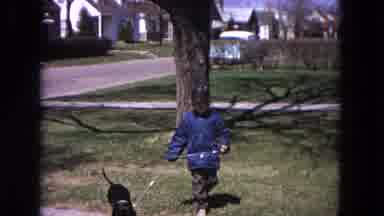 Evanston Illinois (1964): Suburban Street Little Boy In Hat Walks Dog On Lead
