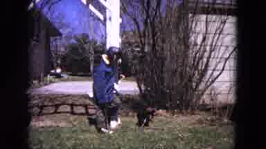 Evanston Illinois (1964): A Little Boy Is Playing With His Little Dog In The