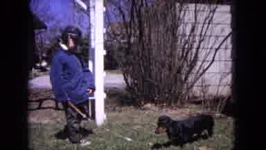 Evanston Illinois (1964): Funny Kids And Dogs Videos