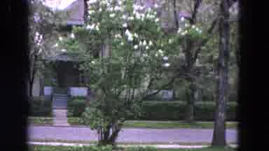 Evanston Illinois (1964): No Trains In Railway Station So Many Trees Are There