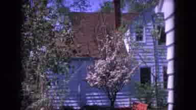 Evanston Illinois (1964): Life Of The Family Dog
