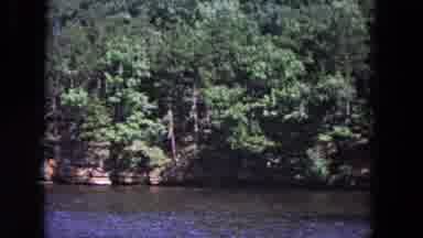 Evanston Illinois (1964): View Of Green Trees Blue Sky And Swift River On A Bright