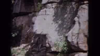 Evanston Illinois (1964): Rock Face With Trees Protruding By Slow-Moving River On