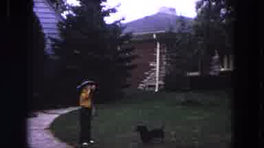 Evanston Illinois (1964): Child And Dog Enjoy Nature And Their Leisure Time