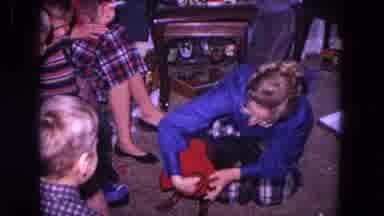 Evanston Illinois USA (1964): Putting A Sweater On A Dog Does Not Come Easy As