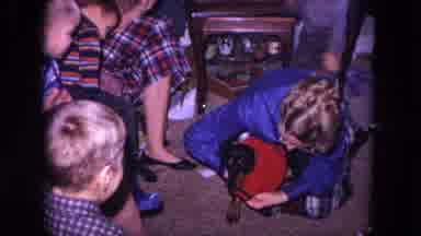 Evanston Illinois USA (1964): A Lady In A Home Video Dresses Her Dachshund In A