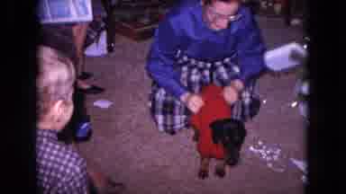 Evanston Illinois USA (1964): The Lady Was Put Dress To The Dog