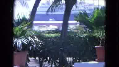 Kingston Jamaica (1964): The Person Is Walking In The Garden Very Happily