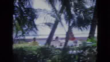 Kingston Jamaica (1964): Palm Trees Blowing In The Wind Then A Couple Dancing On A