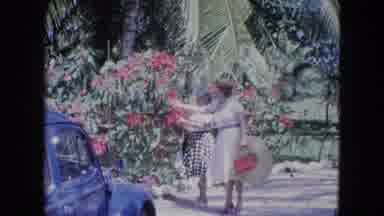 Kingston Jamaica (1964): The Lady's Are There In The Park They Are Enjoy How To