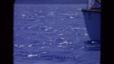 Montego Bay Jamaica (1964): People Are Travelling In The Boat They Are Enjoy