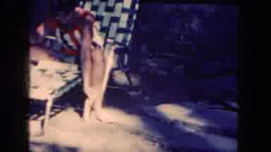 Niagra Falls New York US (1964): Woman In Lawn Chair Feed A Plays With A Squirrel
