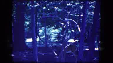 Niagra Falls New York USA (1964): In That Place Look Like Very Beautiful And