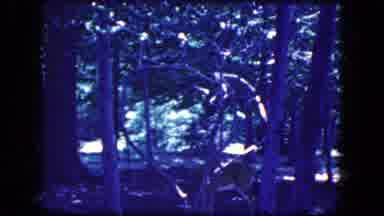 Niagra Falls New York USA (1964): Hike Down The Path To A Dark Forest