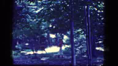 Niagra Falls New York USA (1964): Kid Befriending A Deer In The Wooded Area Trying