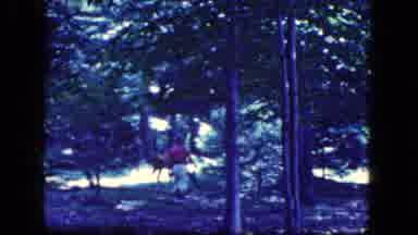 Niagra Falls New York USA (1964): The Person Are Walk In The Forest On The Tree
