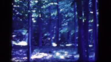 Niagra Falls New York USA (1964): Man Rowing A Boat And Family Following A Deer