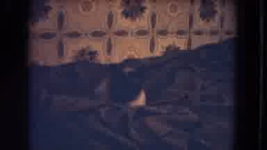 Niagra Falls USA (1964): Siamese Cat Rests In Bed Against Patterned Wall