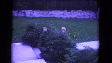 Niagra Falls USA (1964): Kids Hiding Behind The Front Yard Bushes