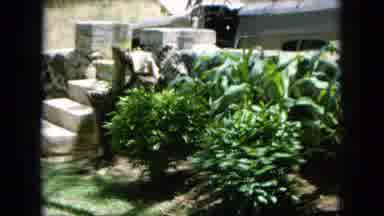 Oahi Hawaii (1964): A Garden Is Fully Maintained Greenish And Beautiful It Like So