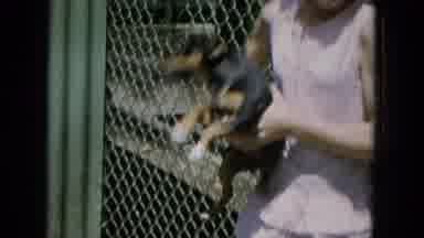 Oahi Hawaii (1964): Miniature Dog Tries To Bite Little Girl
