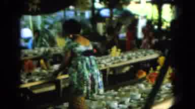 Oahi Hawaii (1964): Tour At The Fair