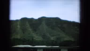 Oahi Hawaii (1964): Mountains With Forests Stand Over Urban Area With Dog In