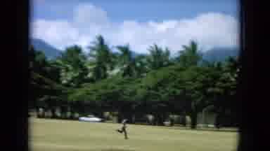 Oahi Hawaii (1964): View Of White Animal Quarantine Sign And Person Running Across