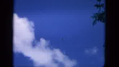 Oahi Hawaii (1964): The Child Is Playing Very Well In The Garden