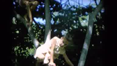 Thumbnail from Hawaii Island Life (1955-1975) collection