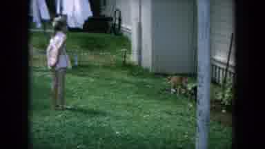 Oahi Hawaii (1964): The Childrens Are Playing In Their Pet Dog On The Garden They
