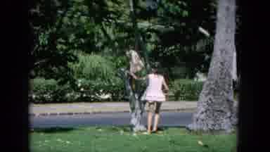 Oahi Hawaii (1964): Climb Tree Fun Of Being Young