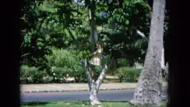 Oahi Hawaii (1964): Strange Game Of 2 Little Girls That Are Climbing A Tree
