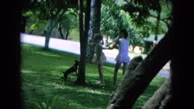 Oahi Hawaii (1964): Girls Playing With Dog Sunny Day