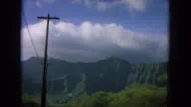 Oahi Hawaii (1964): Plants Trees Sky Green Electric Wire Network Vegetation