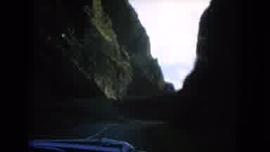 Oahi Hawaii (1964): Driving Past Mountains Stopping To View A Small Tree Driving