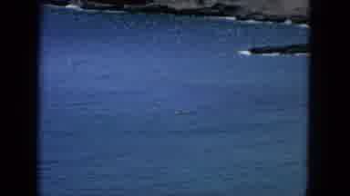 Oahi Hawaii (1964): Nature At Its Finest With Wide River And Rugged Banks With