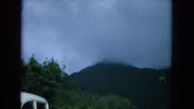 Oahi Hawaii (1964): A Group Of Cars Drive On A Roadway Near Lots Of Trees And