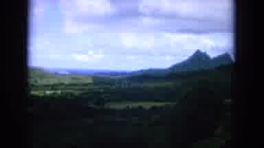 Oahi Hawaii (1964): Mountain Range In A Forest And A Palm Tree