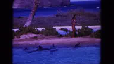 Oahi Hawaii (1964): Woman Getting Into The Water To Swim With Dolphins On A Beach