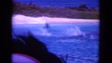 Oahi Hawaii (1964): People In Boat Watch Several Dolphins Jump And Play Nearby