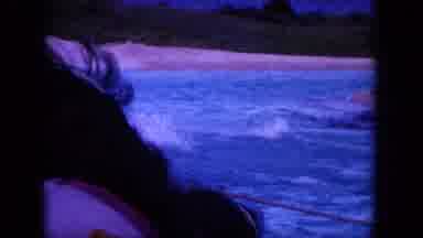 Oahi Hawaii (1964): The Dolphin Is Swimming Very Talent With The Water